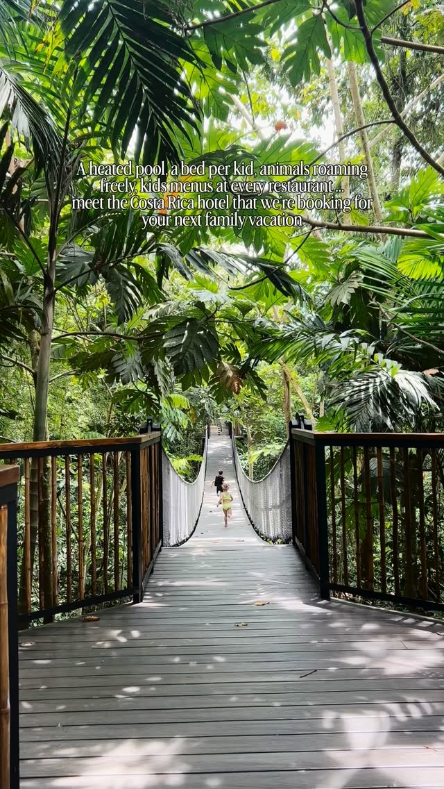 Rainforest Tented Camp With Geothermal Plunge Pools