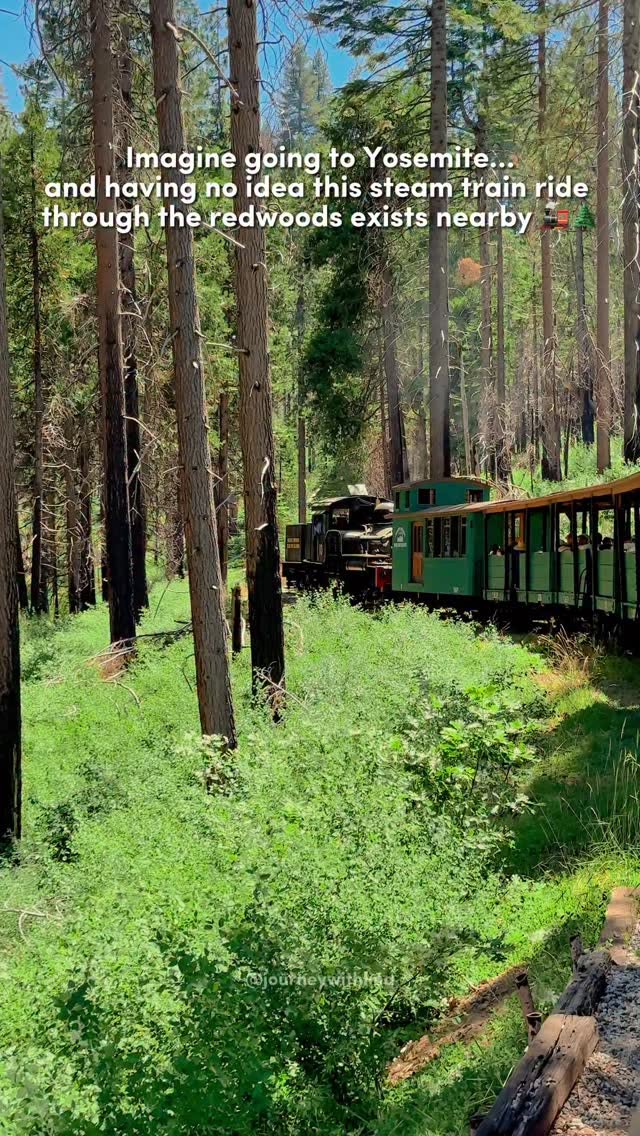 Yosemite Area Features Scenic Train Ride Through Forest