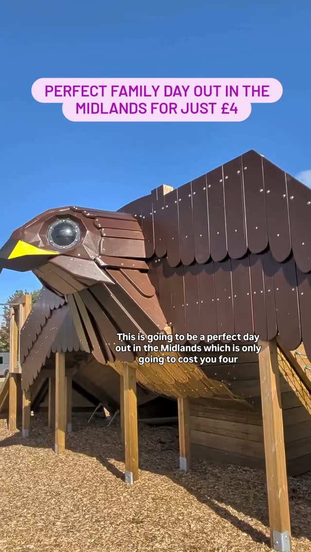 Family Fun At Midlands Bird Hide