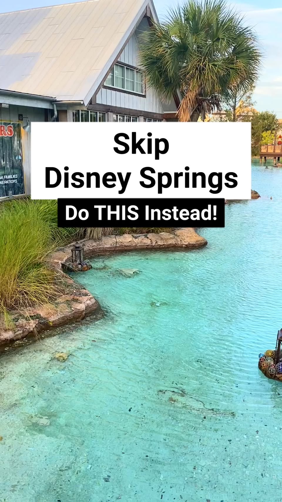 Florida Springs Offer Natural Alternatives to Disney Springs