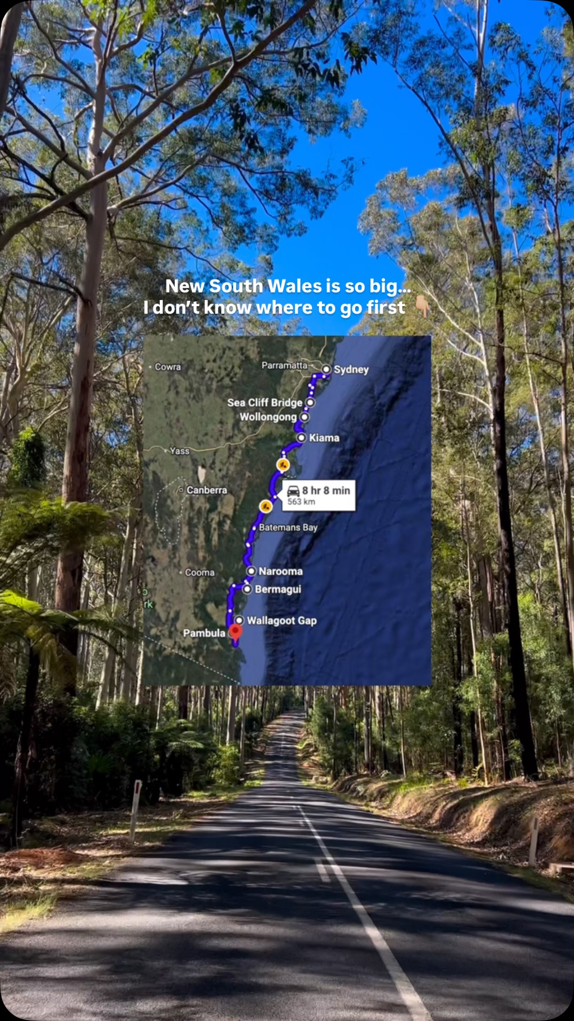 South Coast NSW Road Trip Adventures