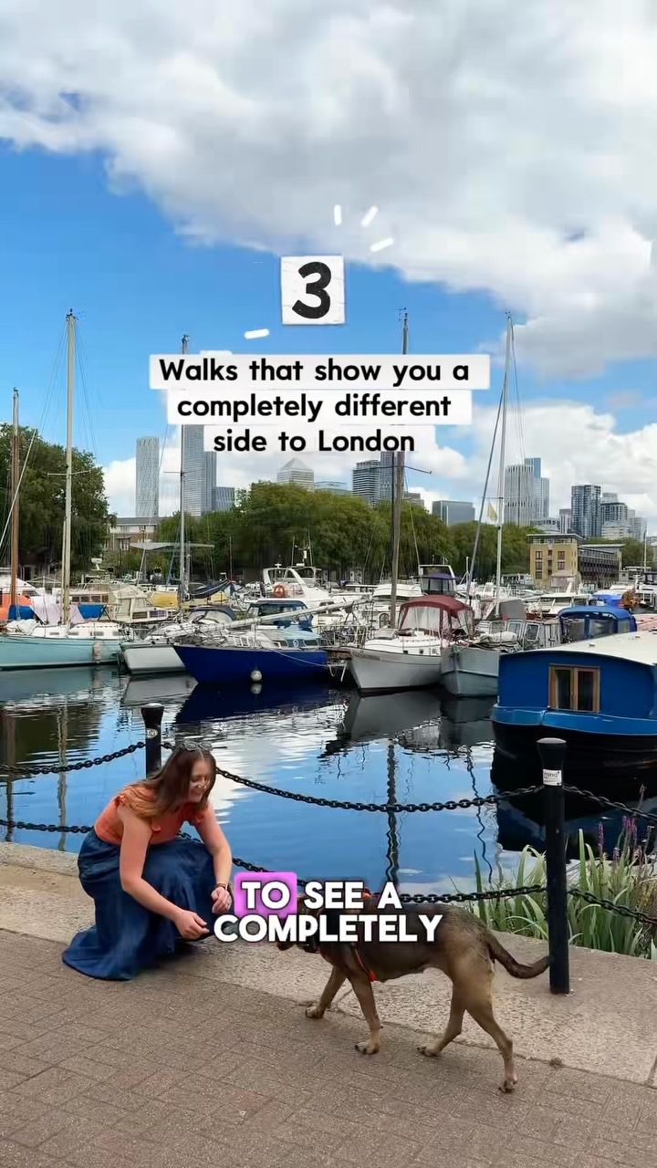 London's Diverse Walks: Nature, History, and City Views