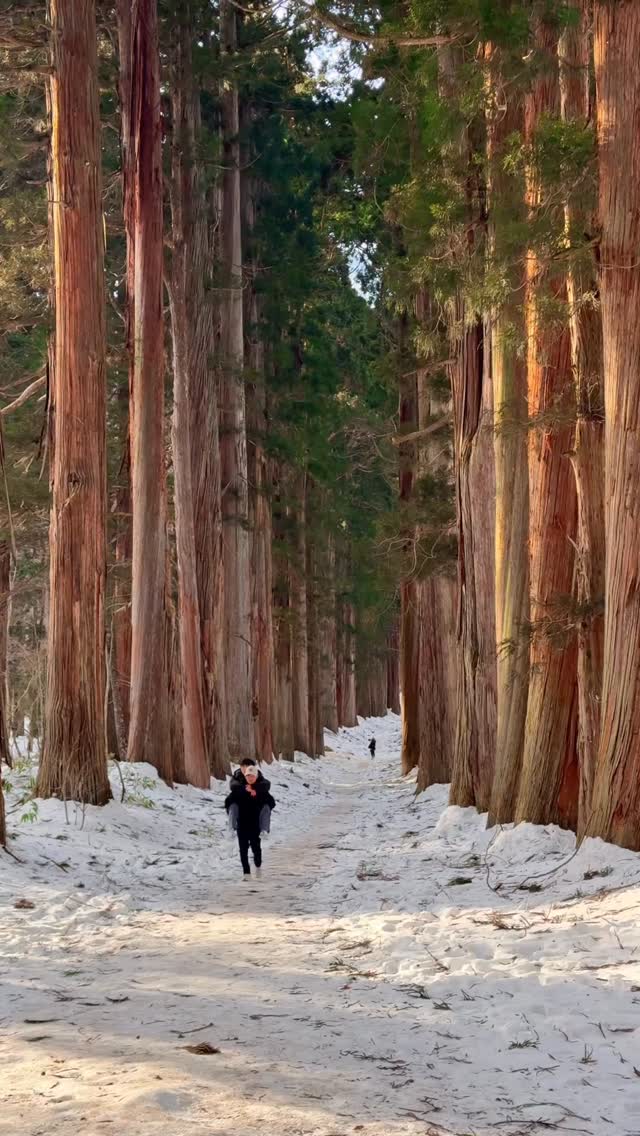 Diverse Japanese Destinations From Cityscapes to Nature