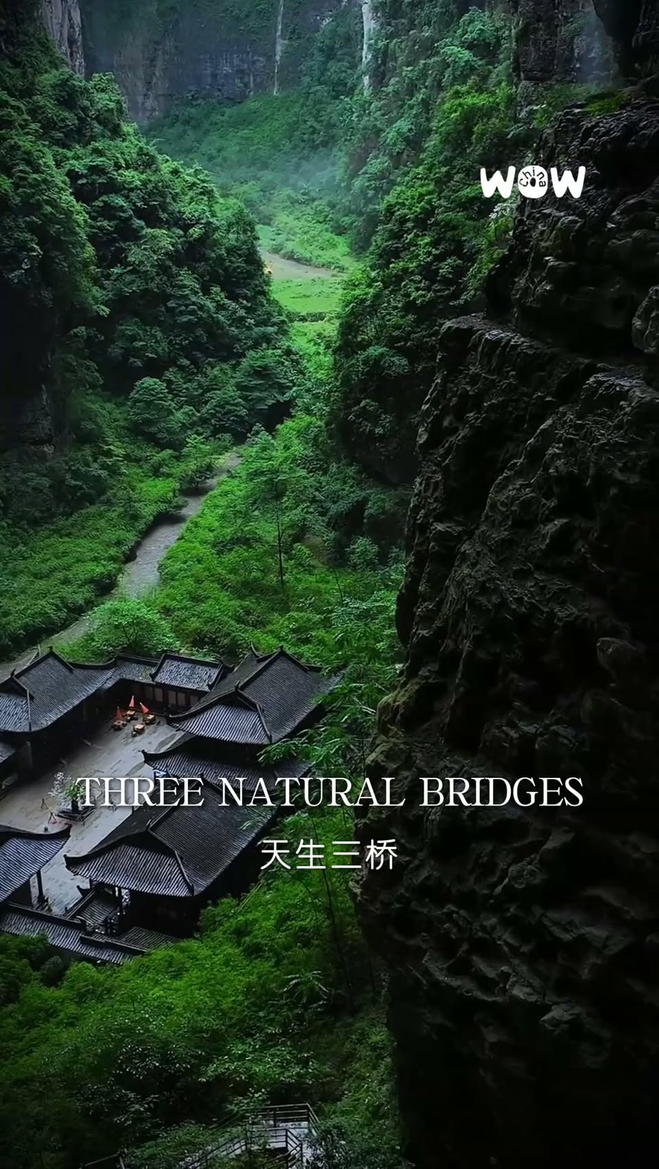 Wulong's Natural Wonders: Bridges, Mountains, and Rivers