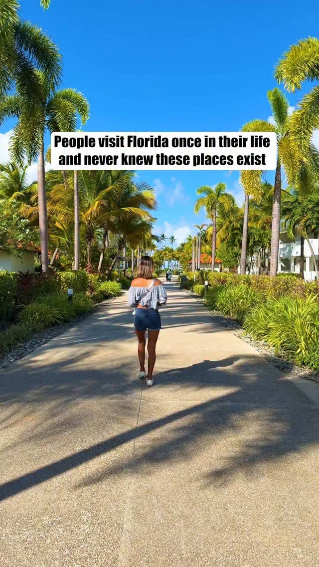 Florida's Hidden Gems: Springs, Castles, and Coastal Charms