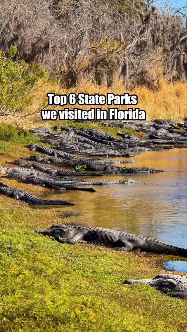 Florida's Top Natural Wonders And Wildlife Parks