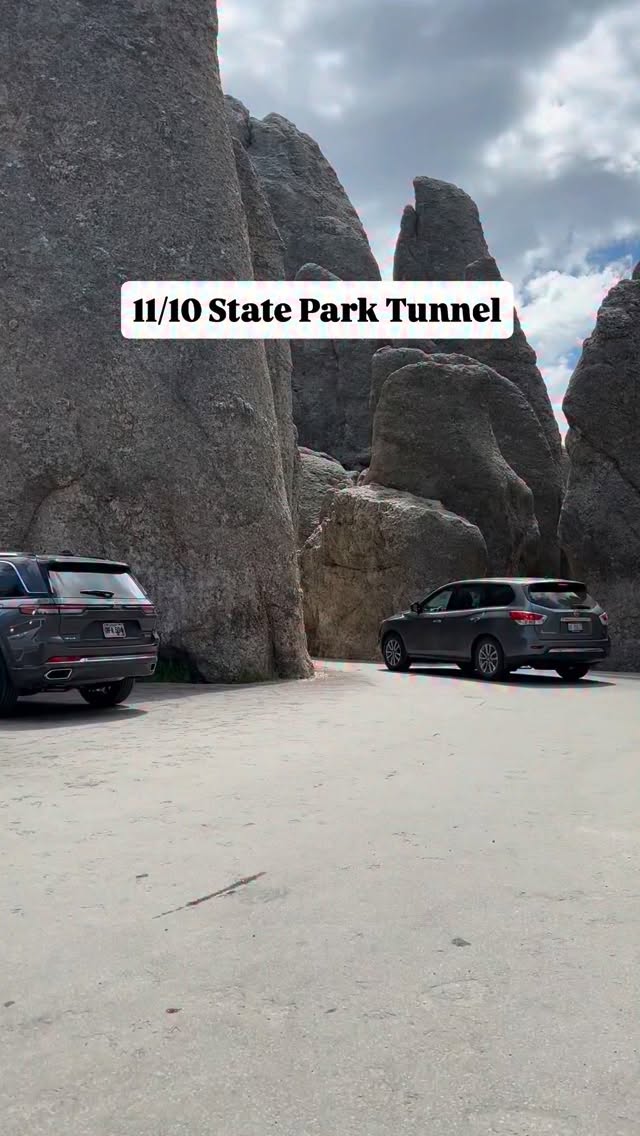 Scenic Drive Through South Dakota's Custer State Park