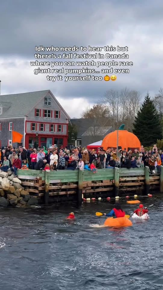 Giant Pumpkin Festival And Regatta In Shelburne