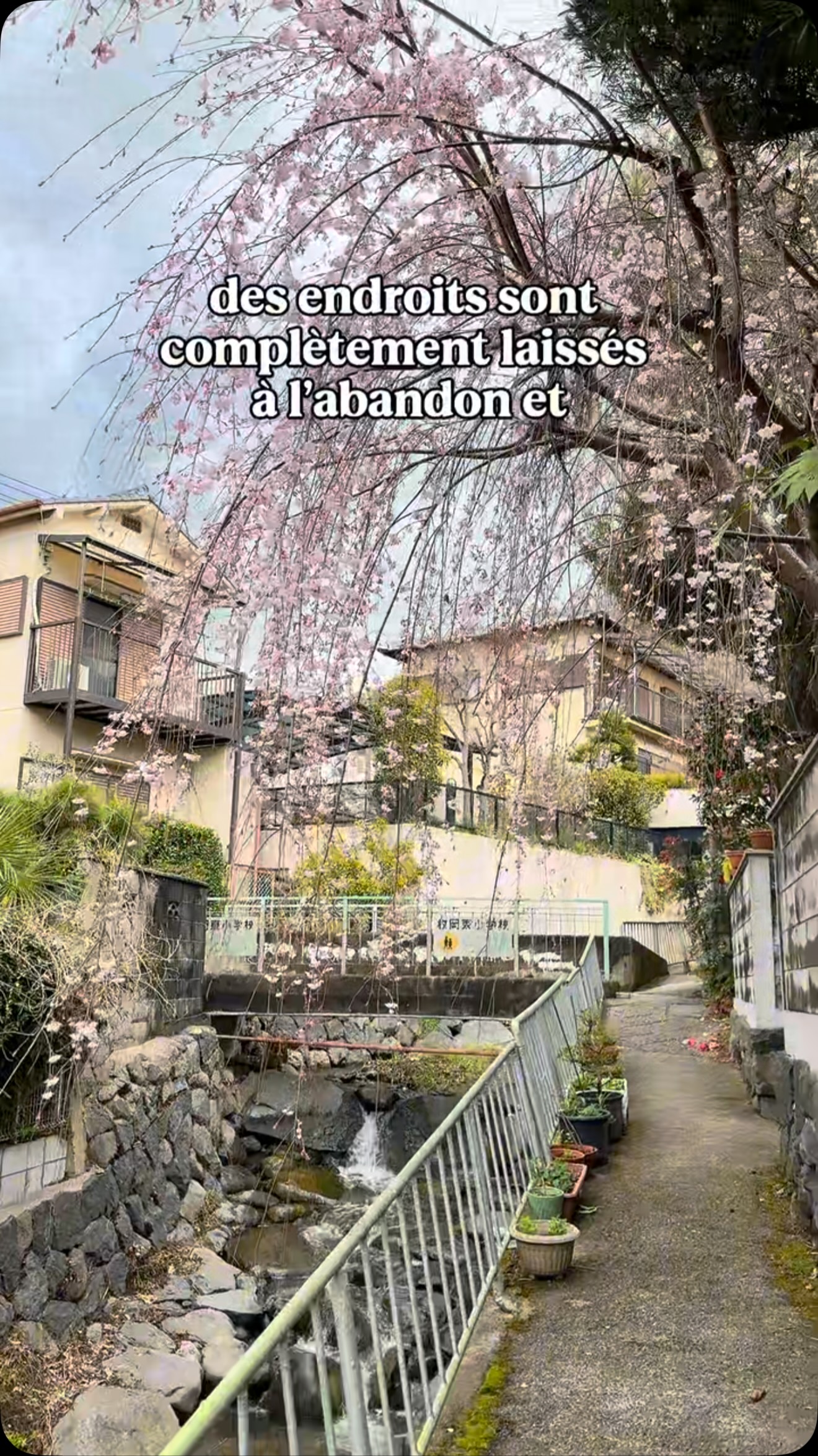 Tokyo's Depopulating Neighborhoods Need Support