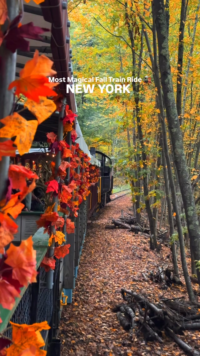 Fall Foliage Train Rides Through Catskills