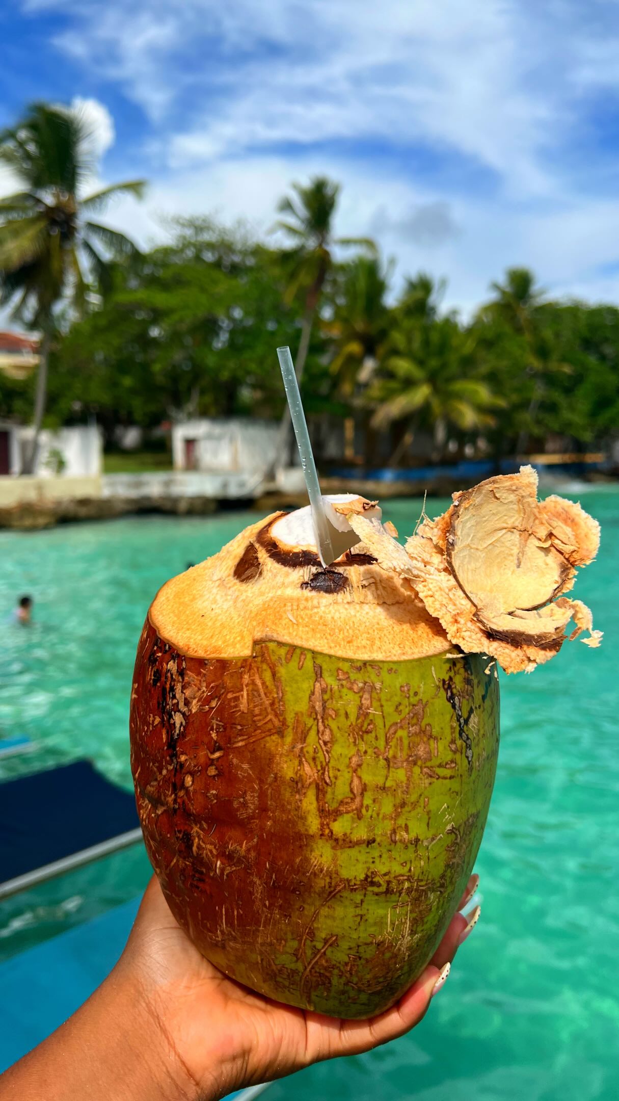 Experience Chocolate, Caves, and Beaches in Santo Domingo