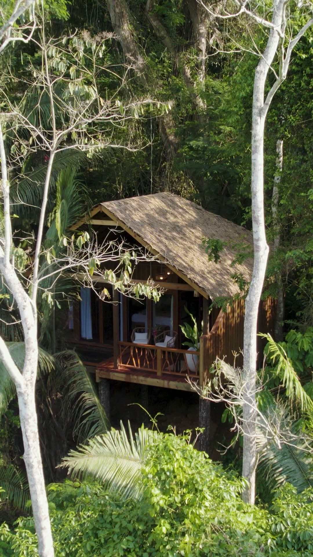 Belize Jungle Lodge and River Adventure