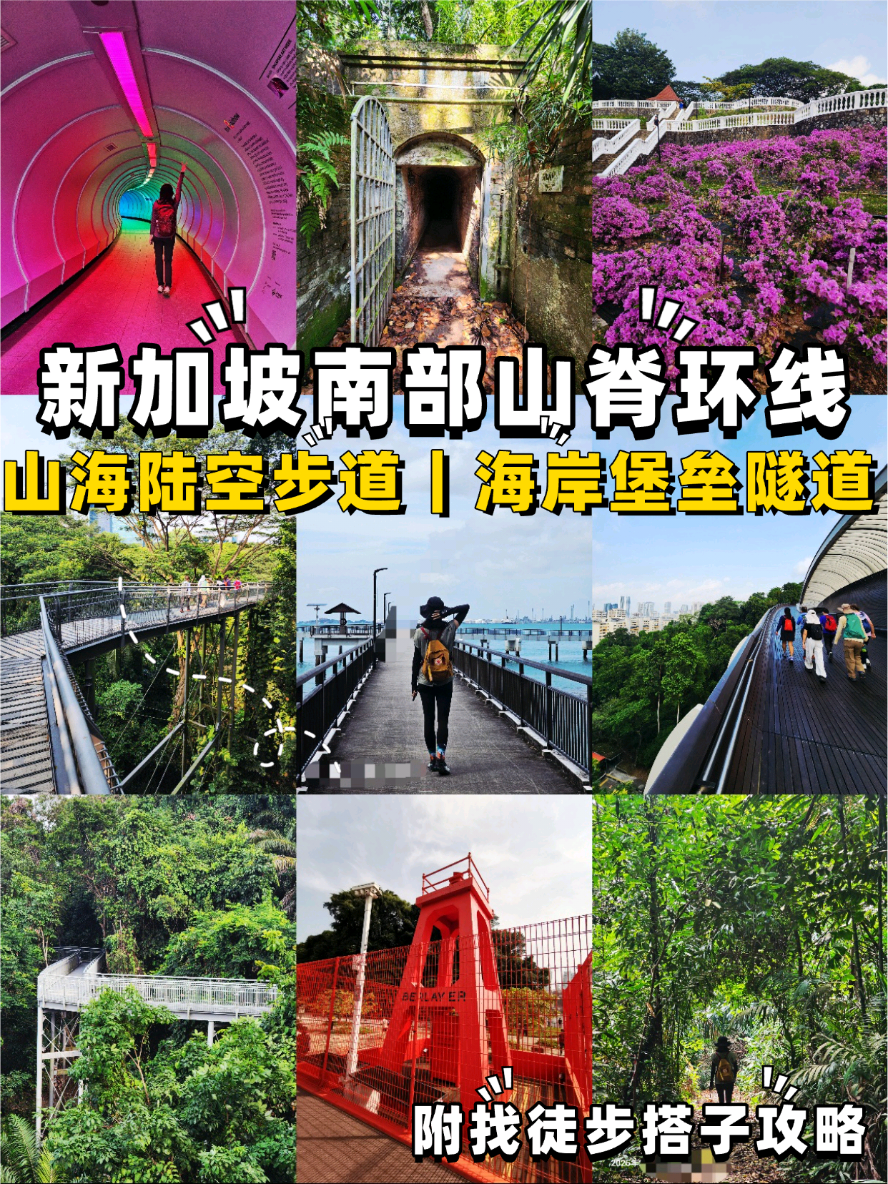 Southern Ridges: Singapore's Scenic Nature Trails