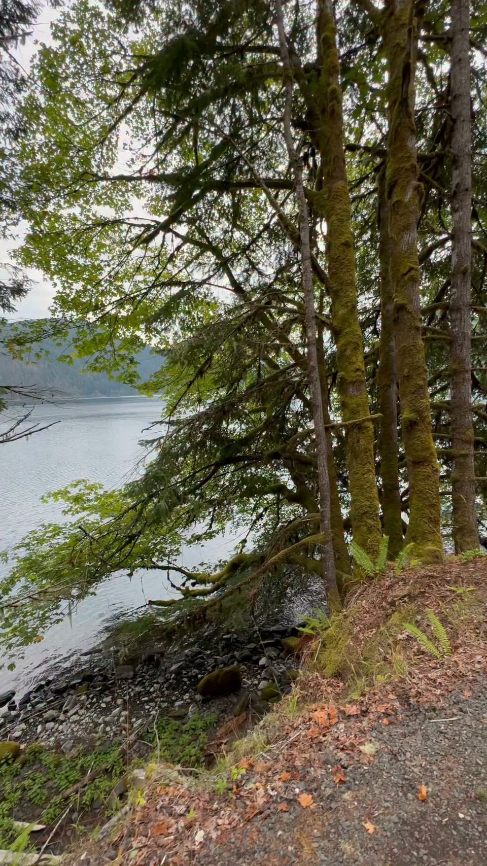 Olympic National Park's Spooky Lake Crescent