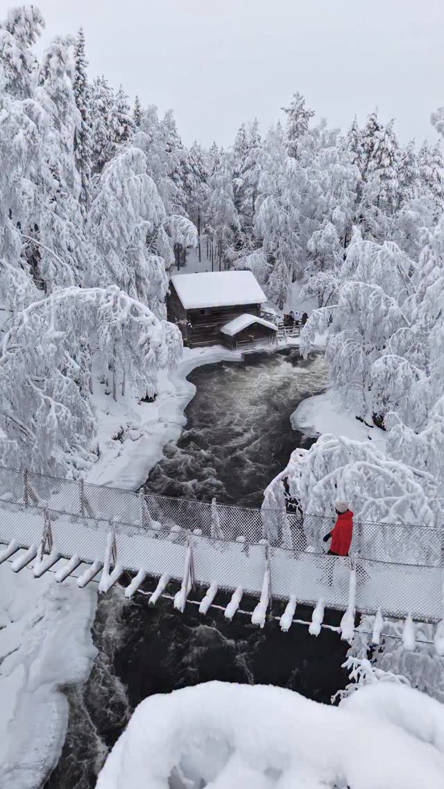 Oulanka National Park's Winter Beauty