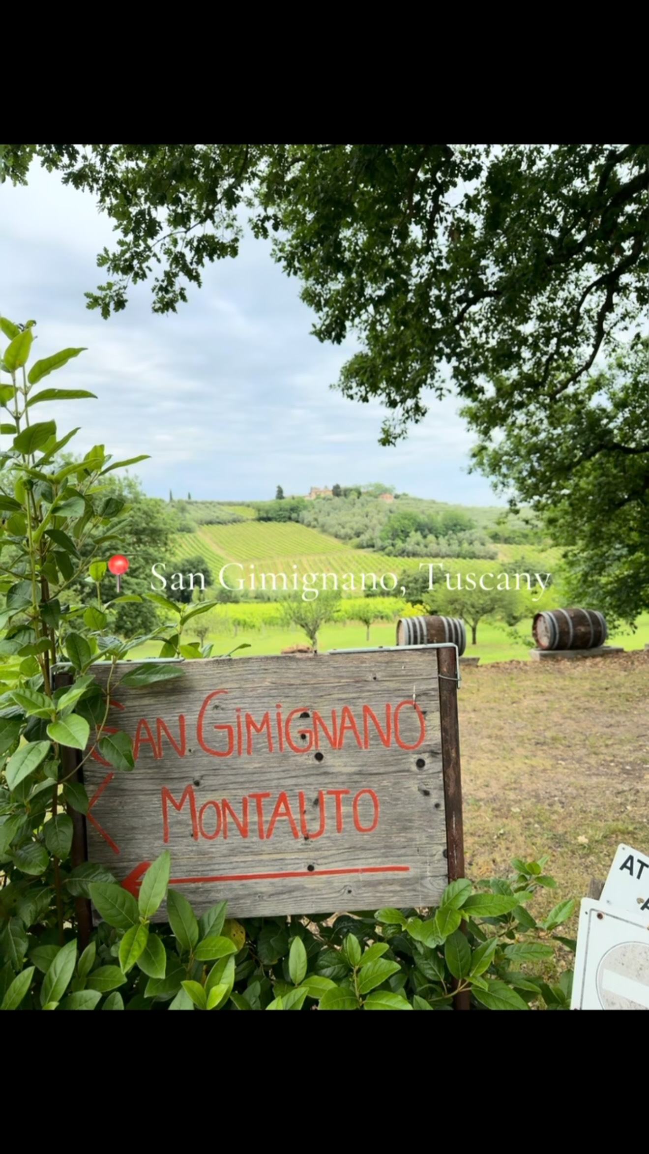 Tuscan Charm: San Gimignano's Medieval Beauty