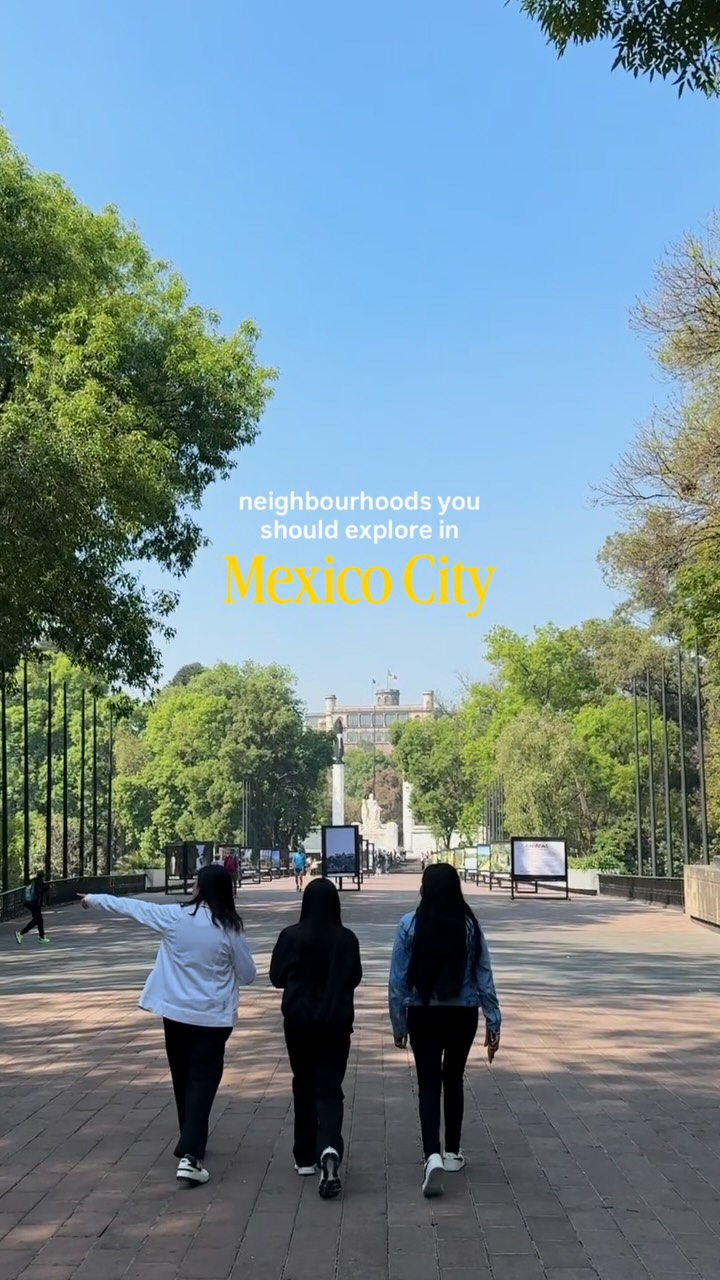 Mexico City's Vibrant Neighborhoods and Cultural Hotspots