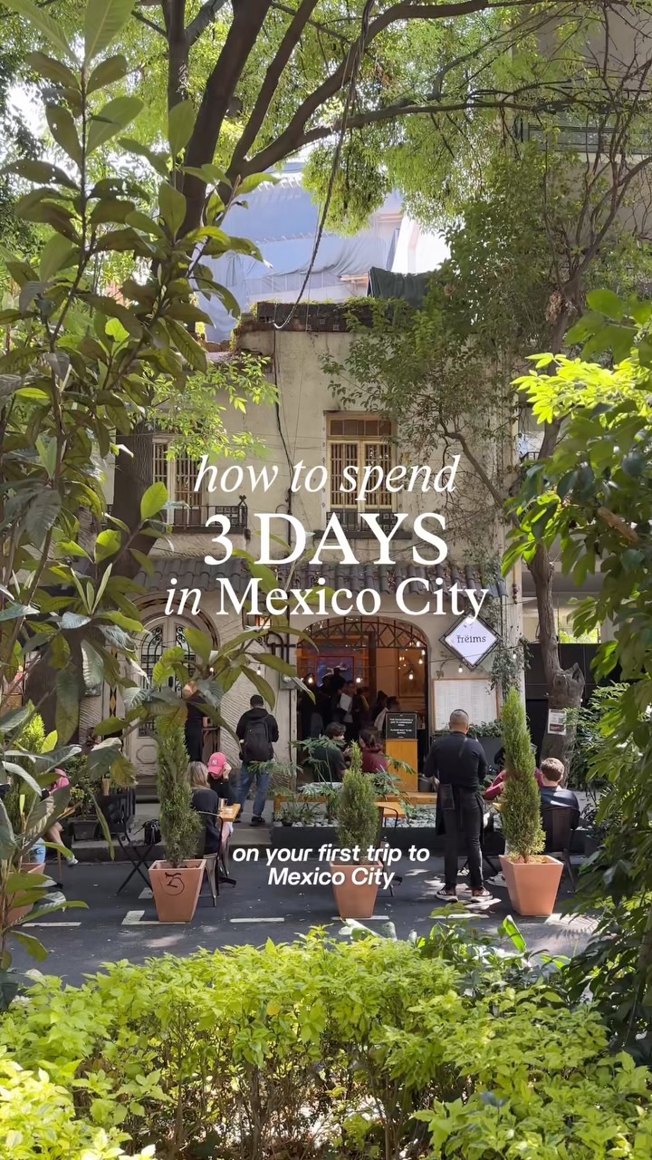 Mexico City's Top Spots For A Three-Day Adventure