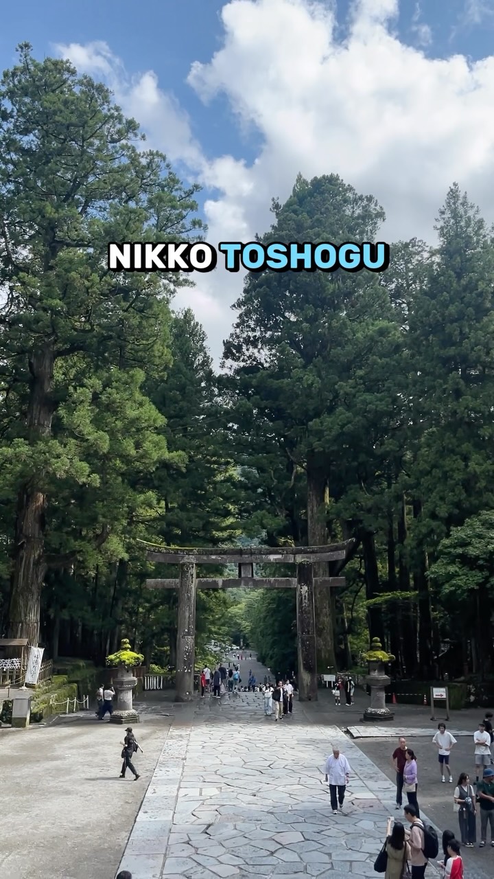 Nikko Toshogu Shrine's Rich Architectural Details