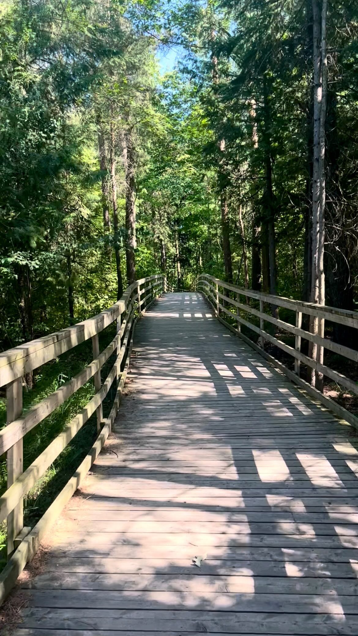 Scenic Lakeside Trails Near Toronto