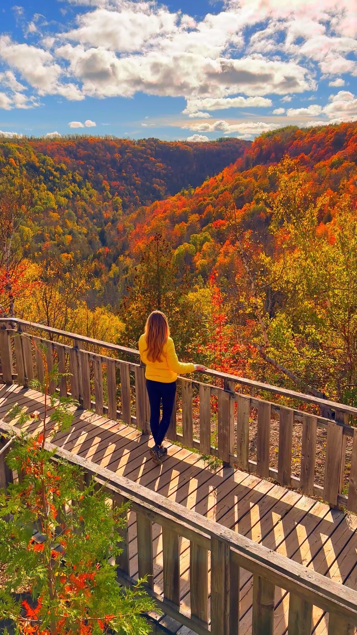Autumn Colors Abound In Ontario's Simcoe County