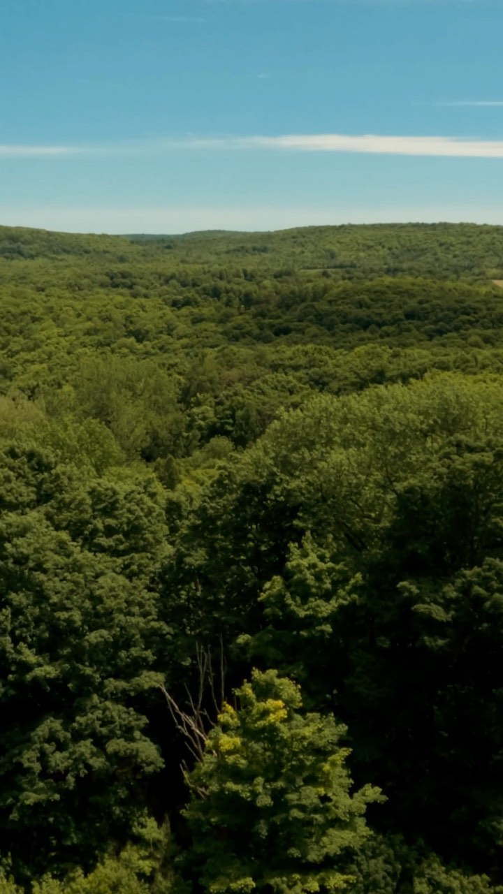 Duncan Escarpment Nature Reserve's Boulders and Waterfalls