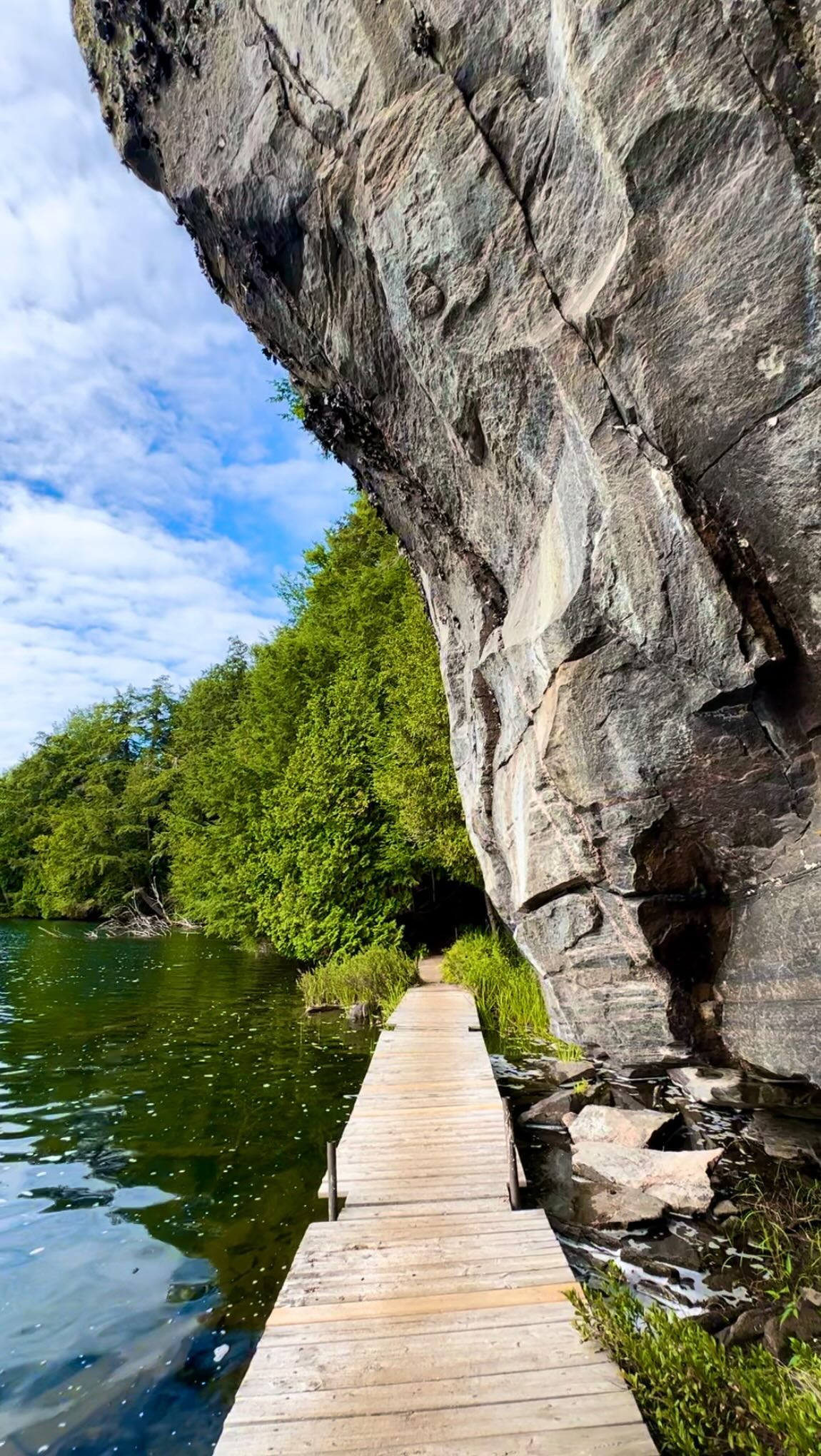 Limberlost Forest And Solitaire Lake Trails