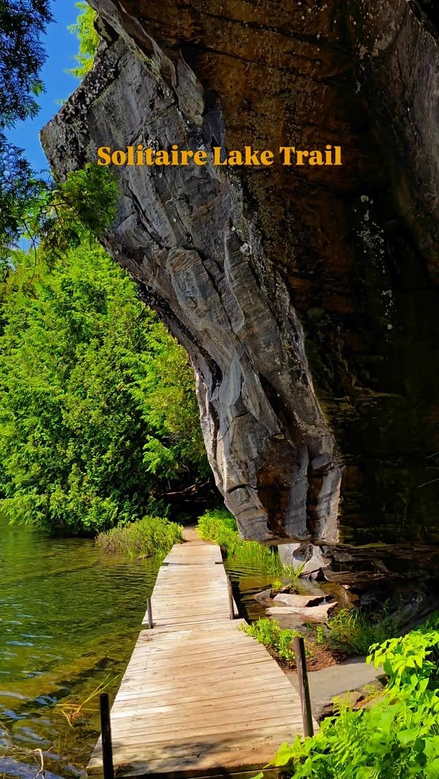 Forest Reserve and Lake Trail Hiking Options