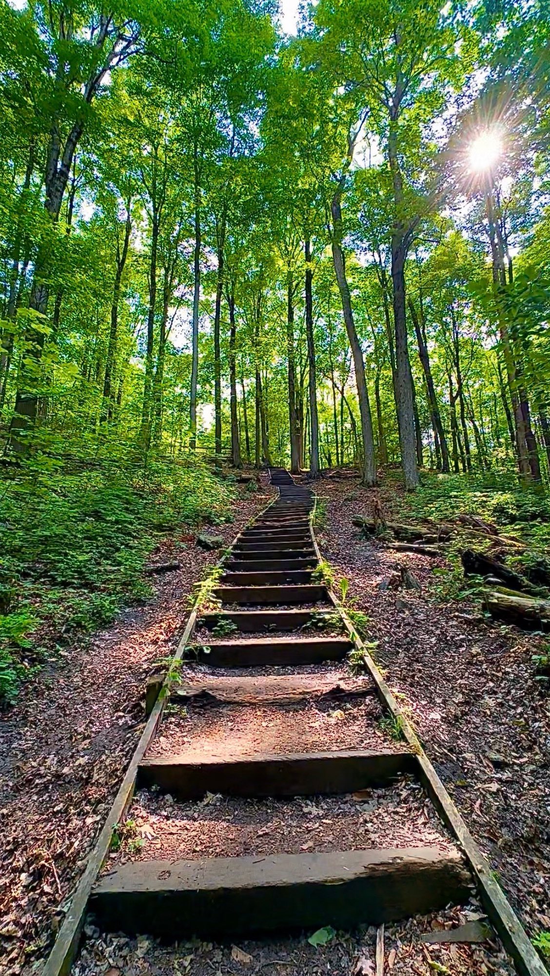 Thornton Bales and Joker's Hill Hiking Trails