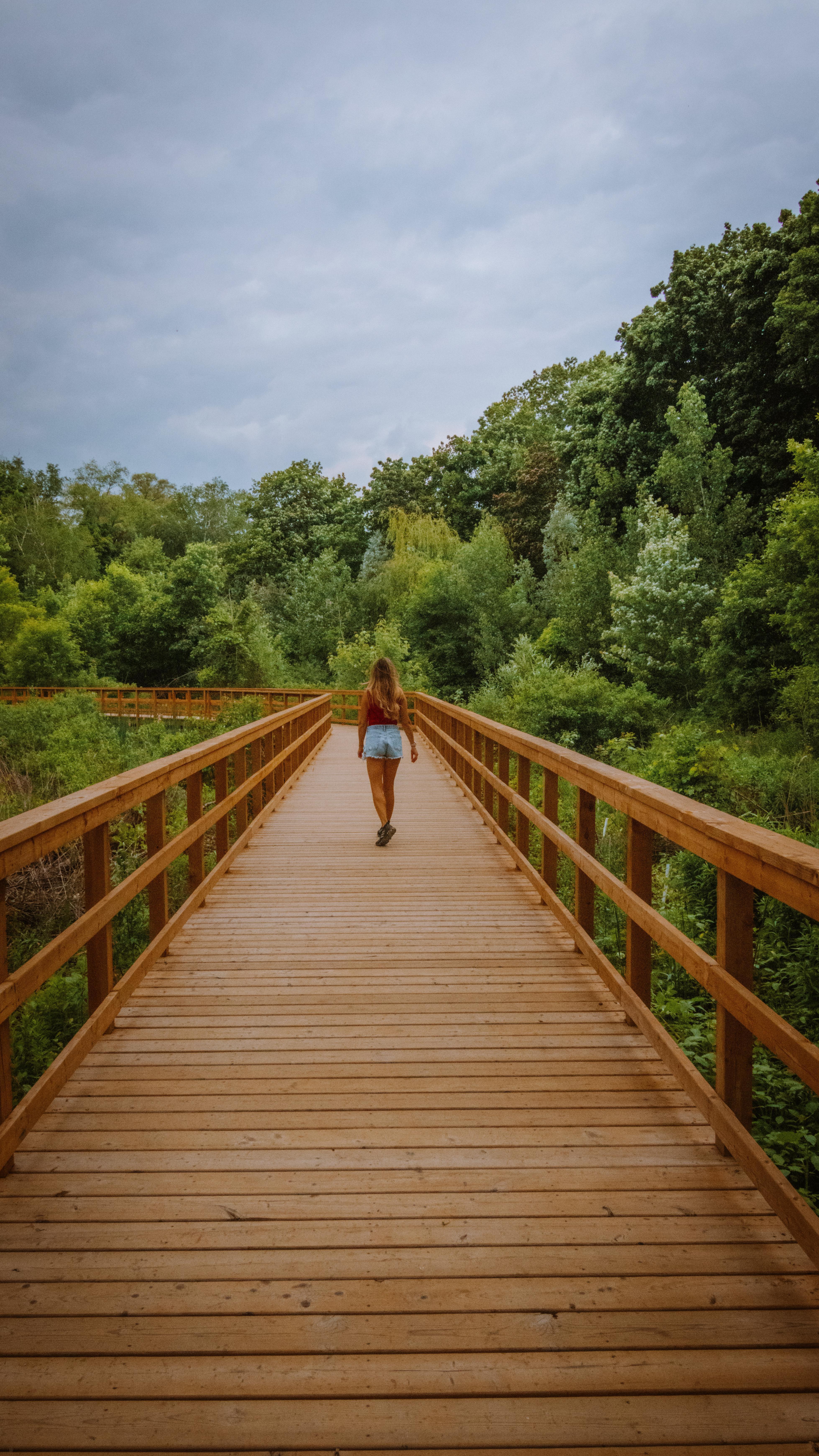 Marsh and Lake Ontario Boardwalks Offer City Escapes