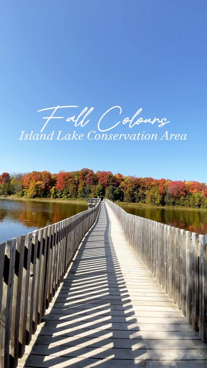 Vicki Barron Lakeside Trail Offers Fall Scenery