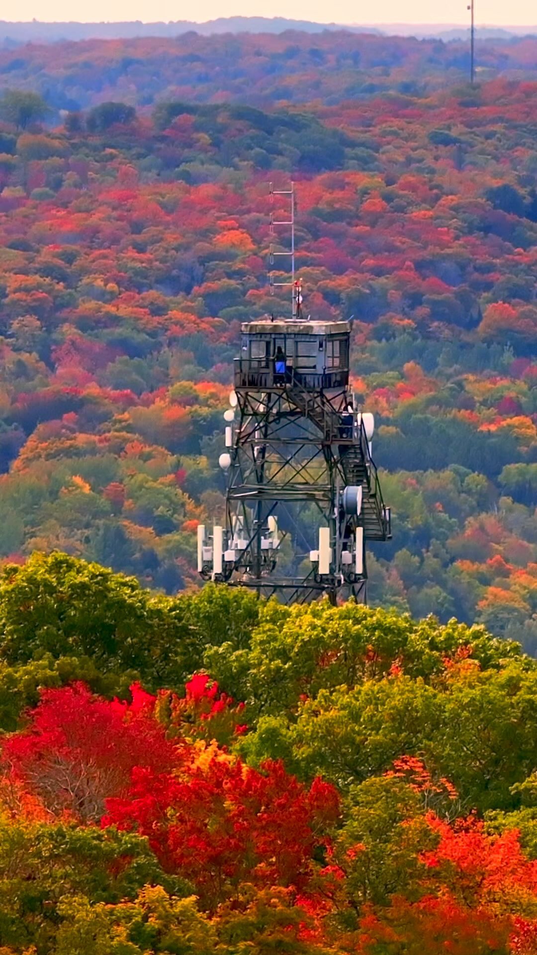 Dorset Lookout Tower A Scenic Summer Destination