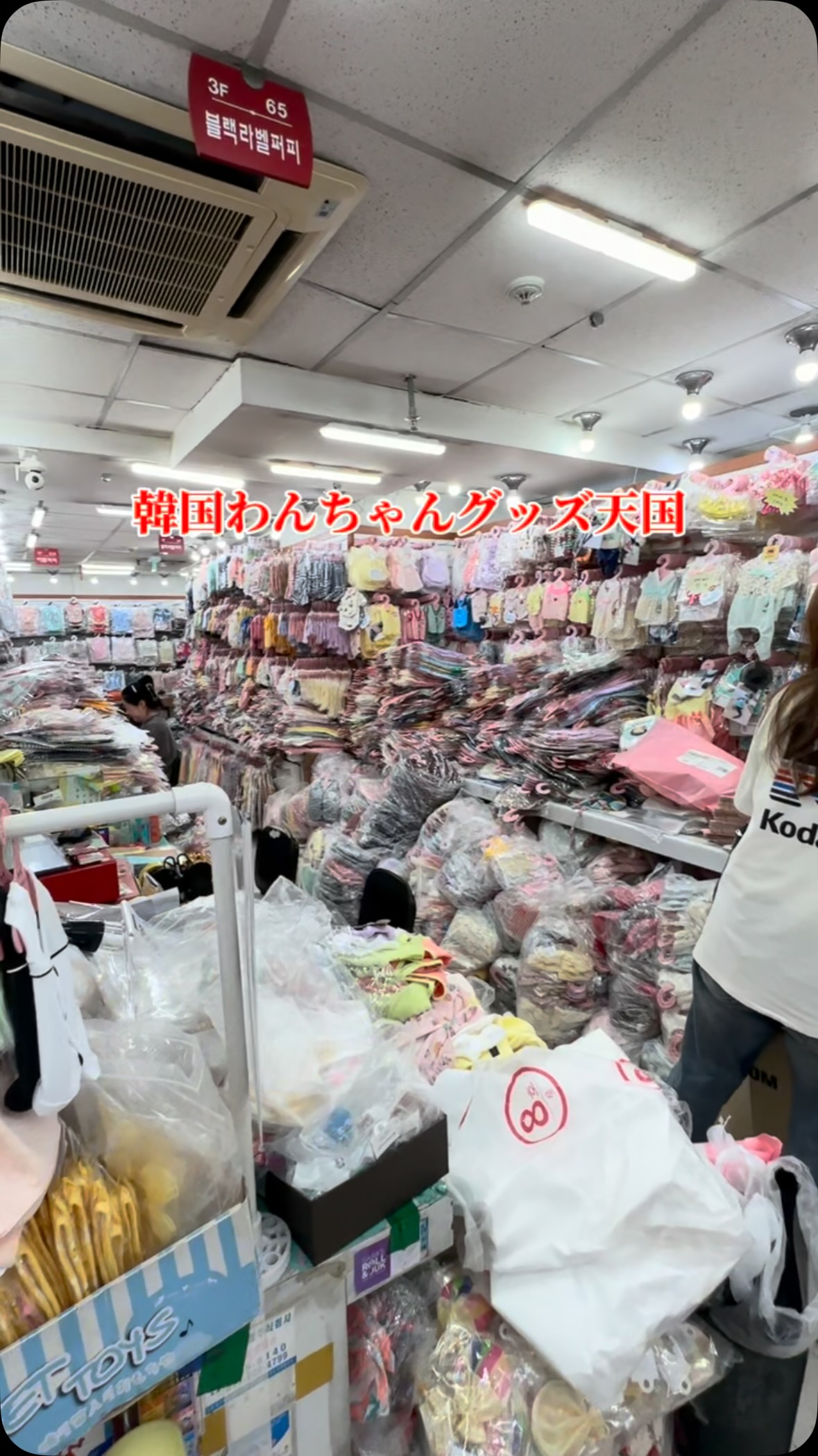 Seoul's Namdaemun Market: A Dog Lover's Paradise