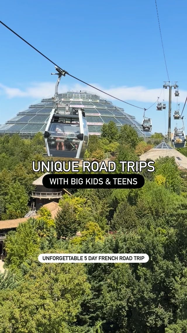 French Family Road Trip: Parks, Zoos, and Unique Stays