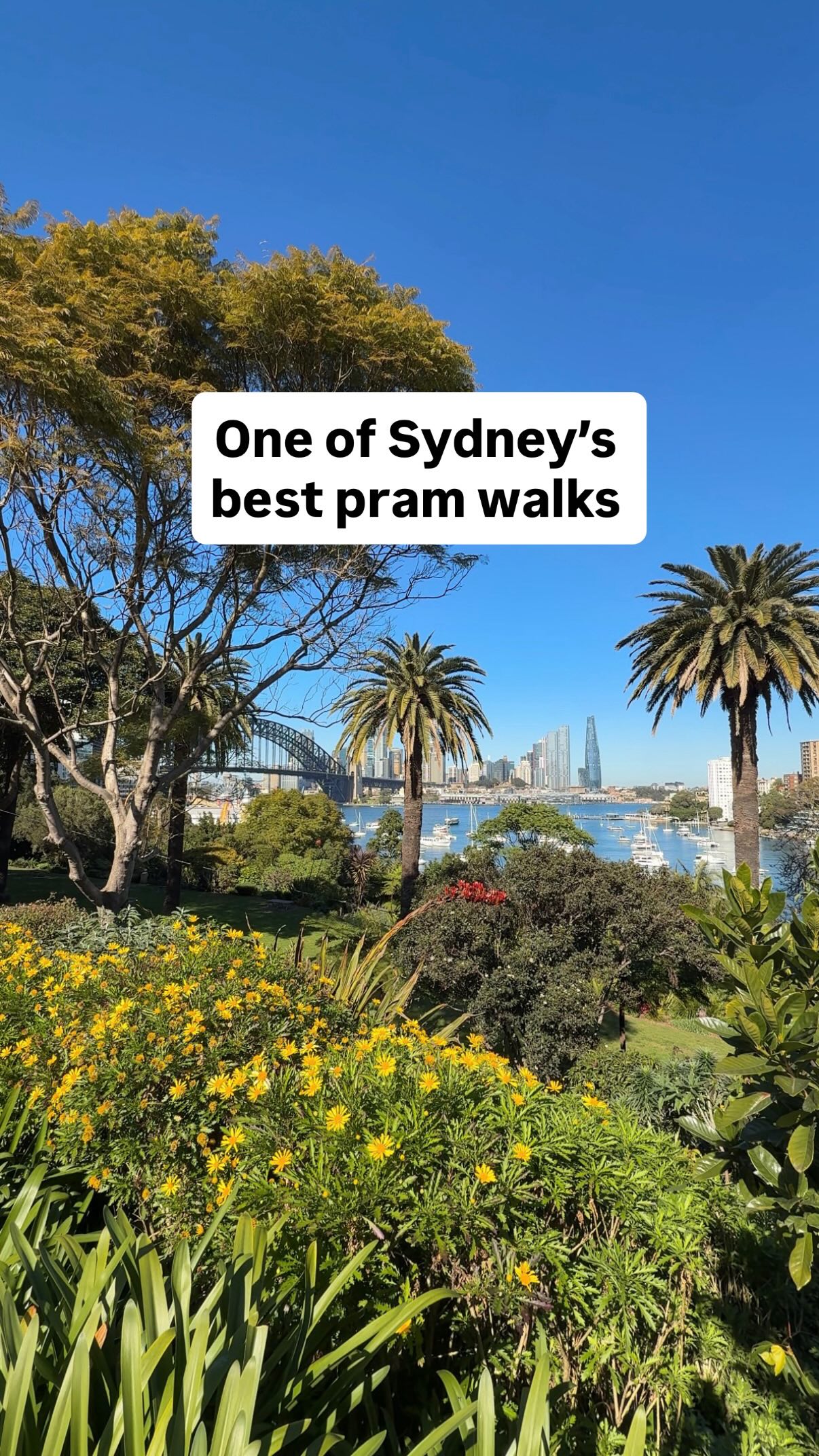 Pram-Friendly Sydney Walk Along Lavender Bay