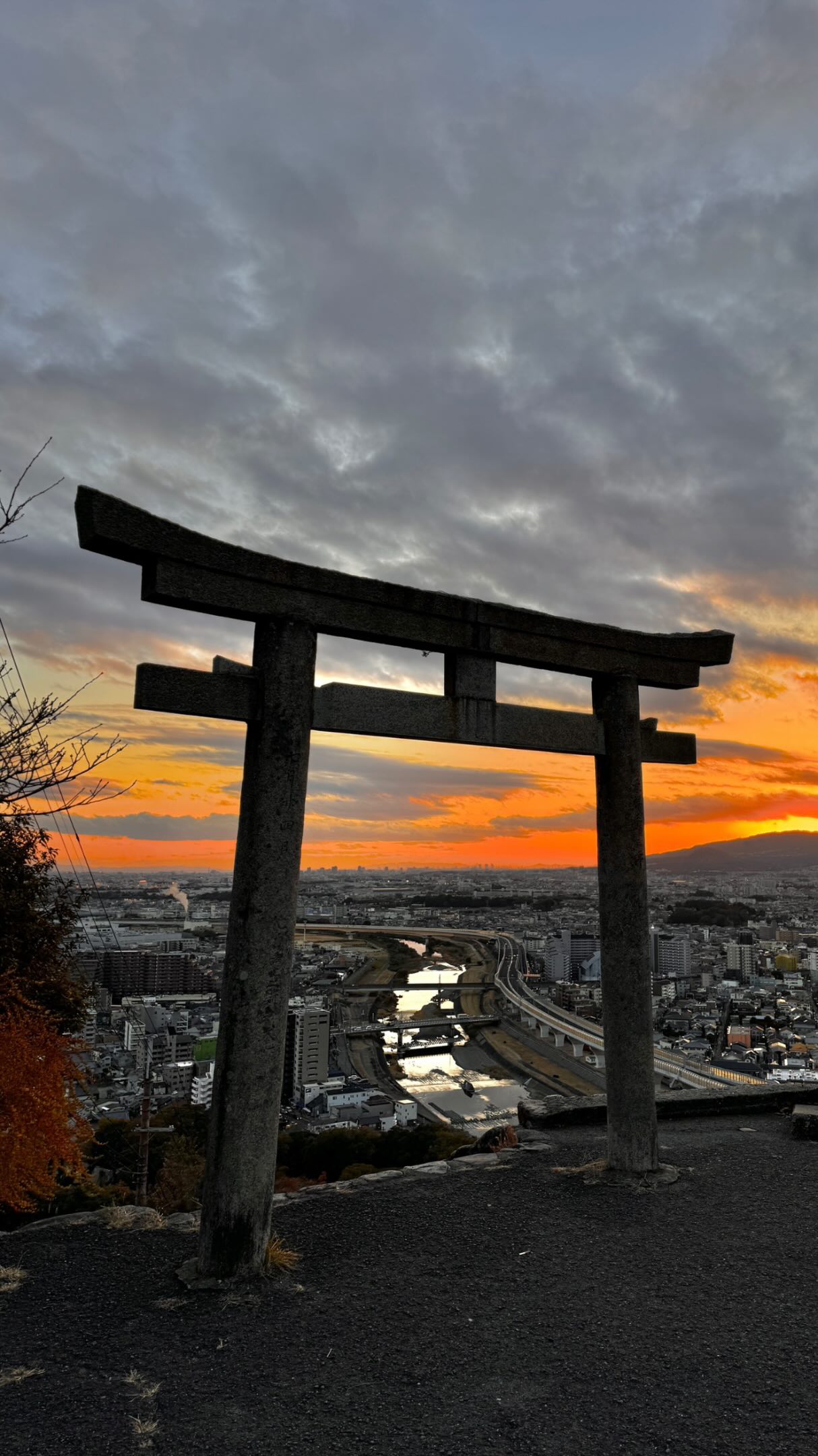 Osaka's Torii Gate Sunset View