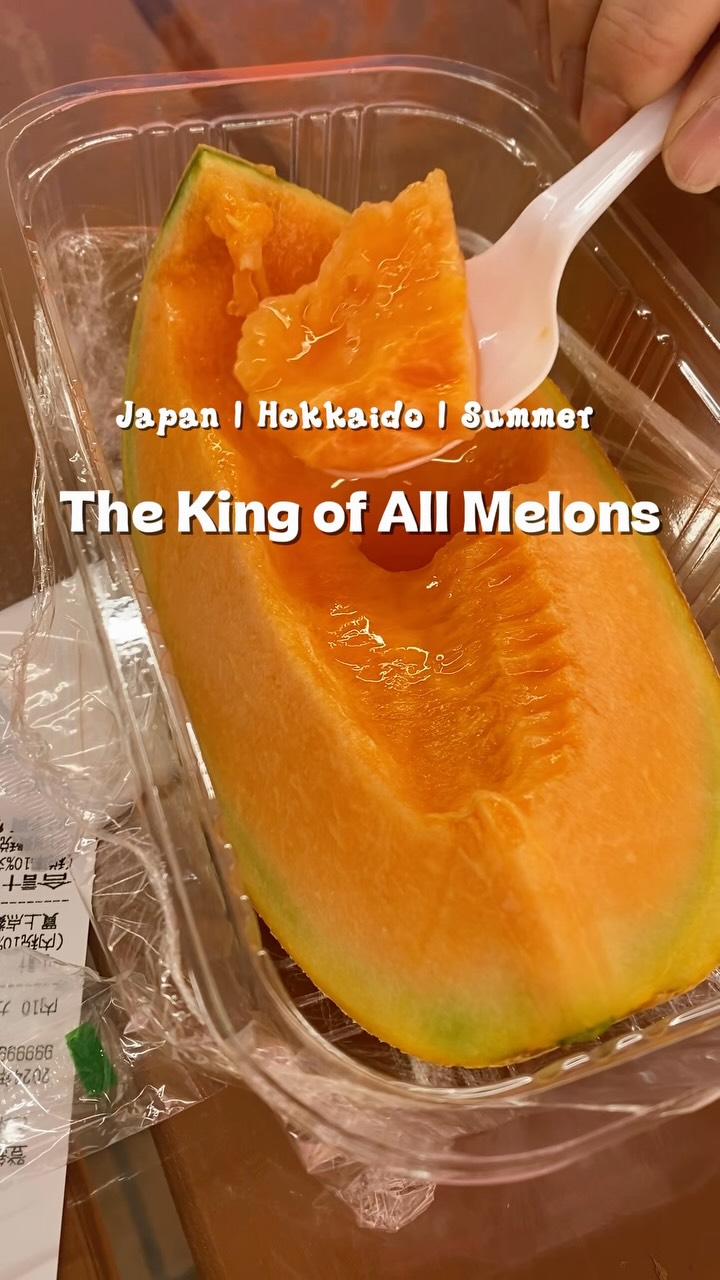 Yubari Melon Highlights And Buying Tips