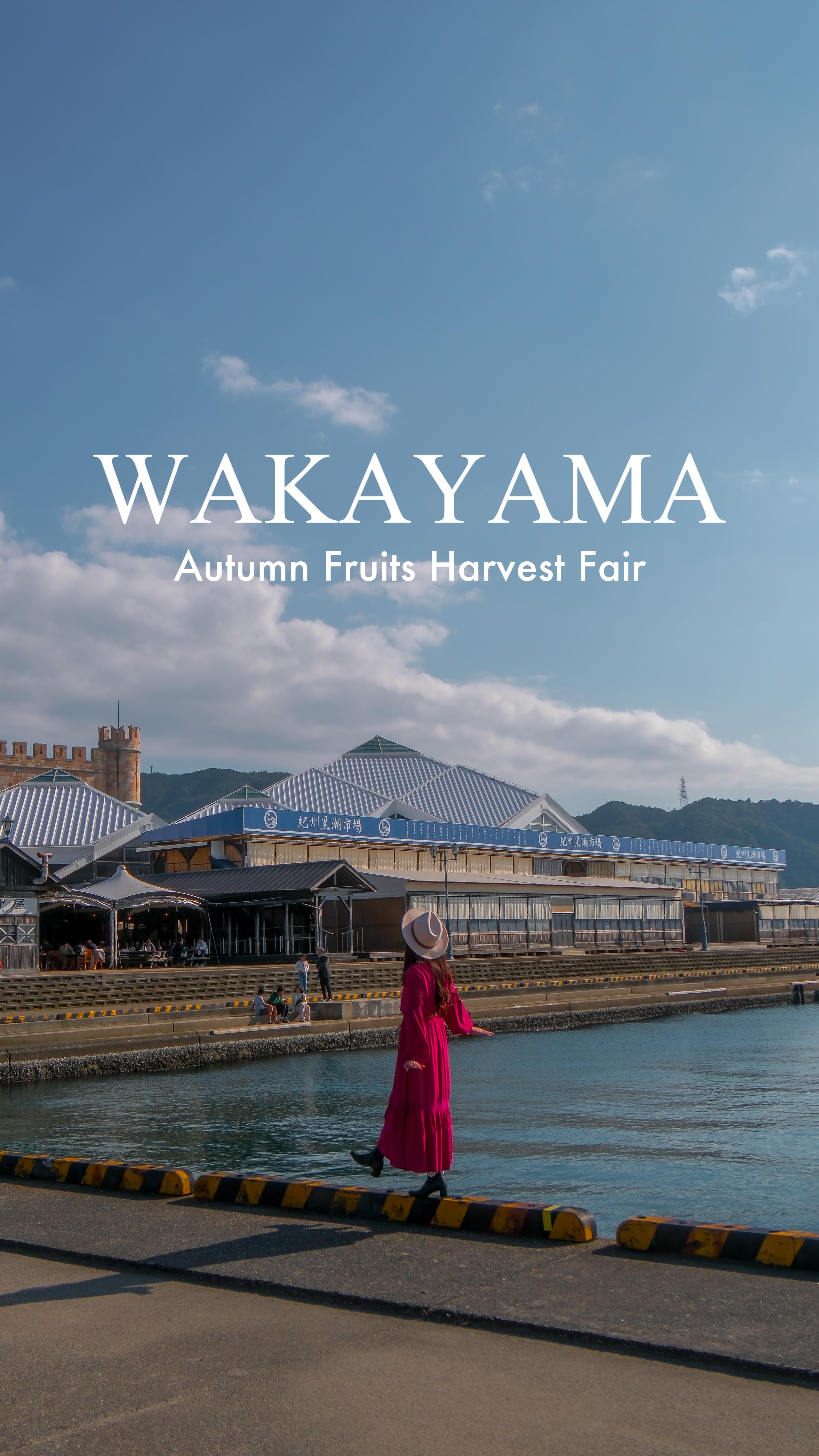 Wakayama's Markets Offer Delicious Autumn Fruit Experiences