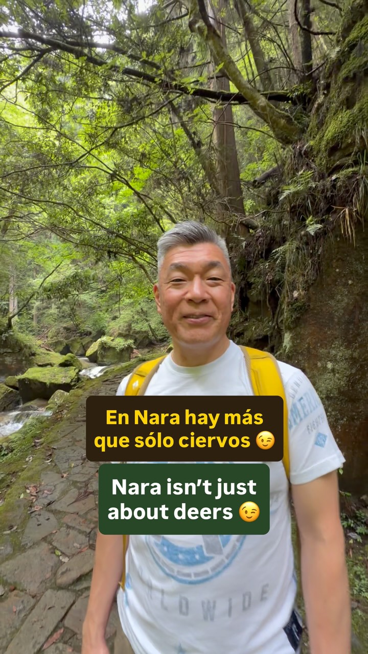 Discover Nara's Hidden Treasures and Unique Attractions