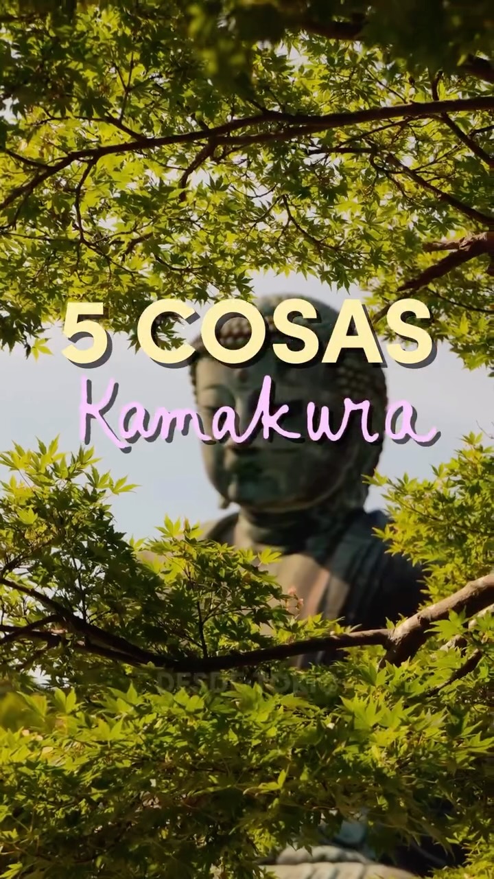Kamakura's Temples, Beach, and Food Scene