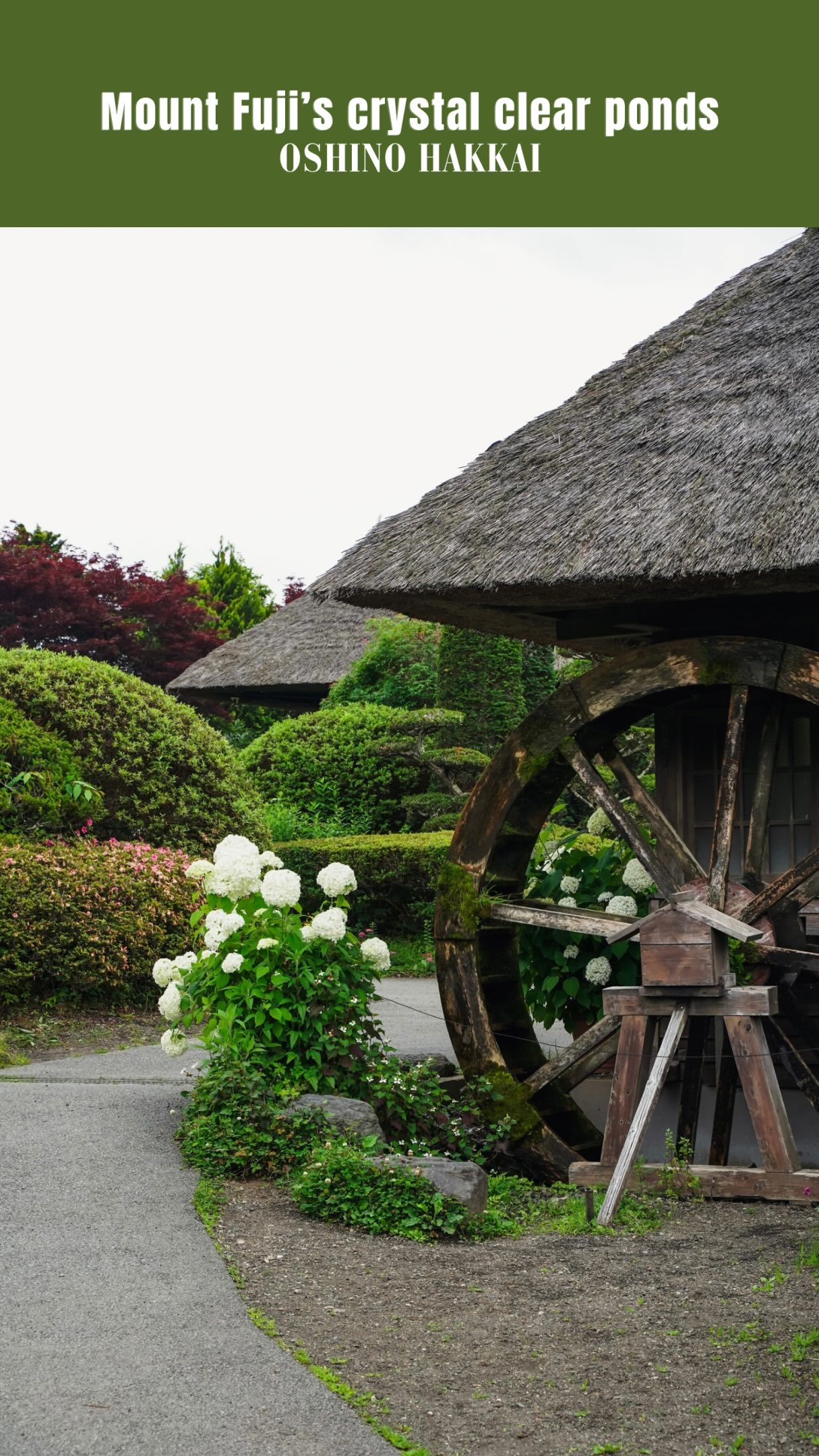 Oshino Hakkai: A Scenic Village with Views of Mount Fuji