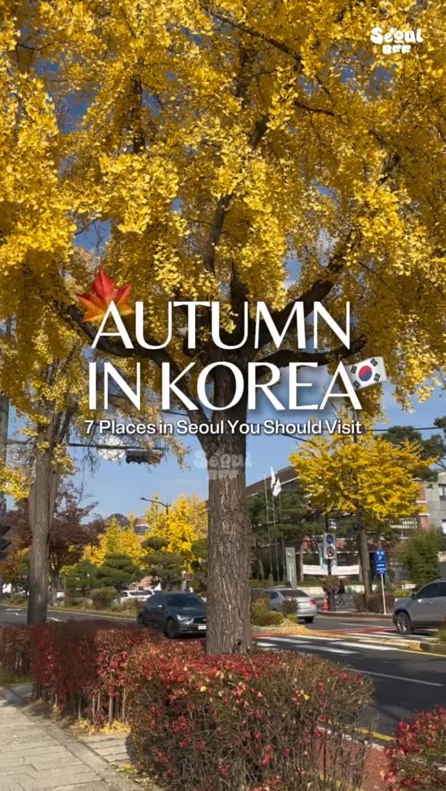 Seoul's Top Autumn Foliage Spots