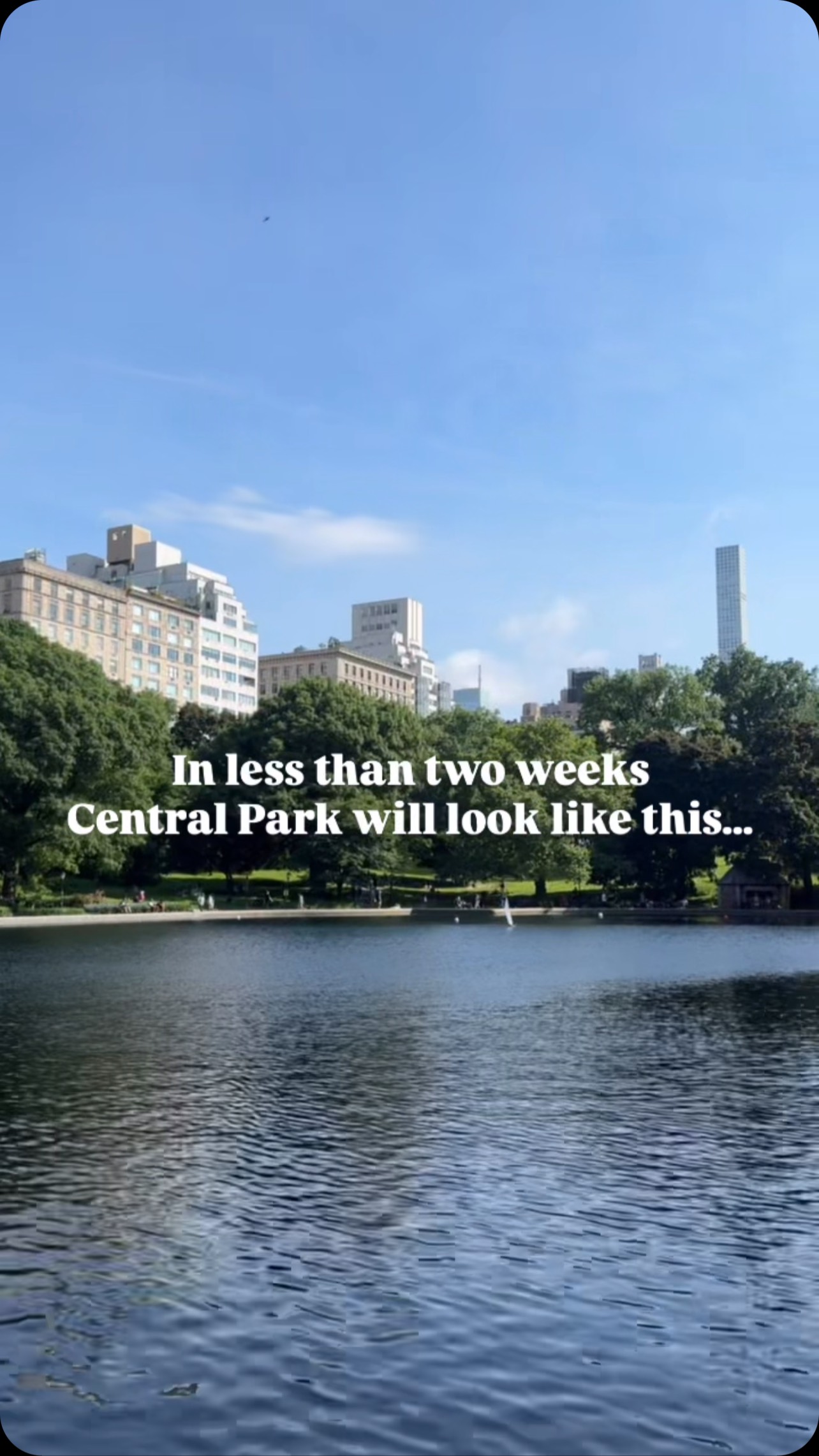 Free Opera Under The Stars At Central Park
