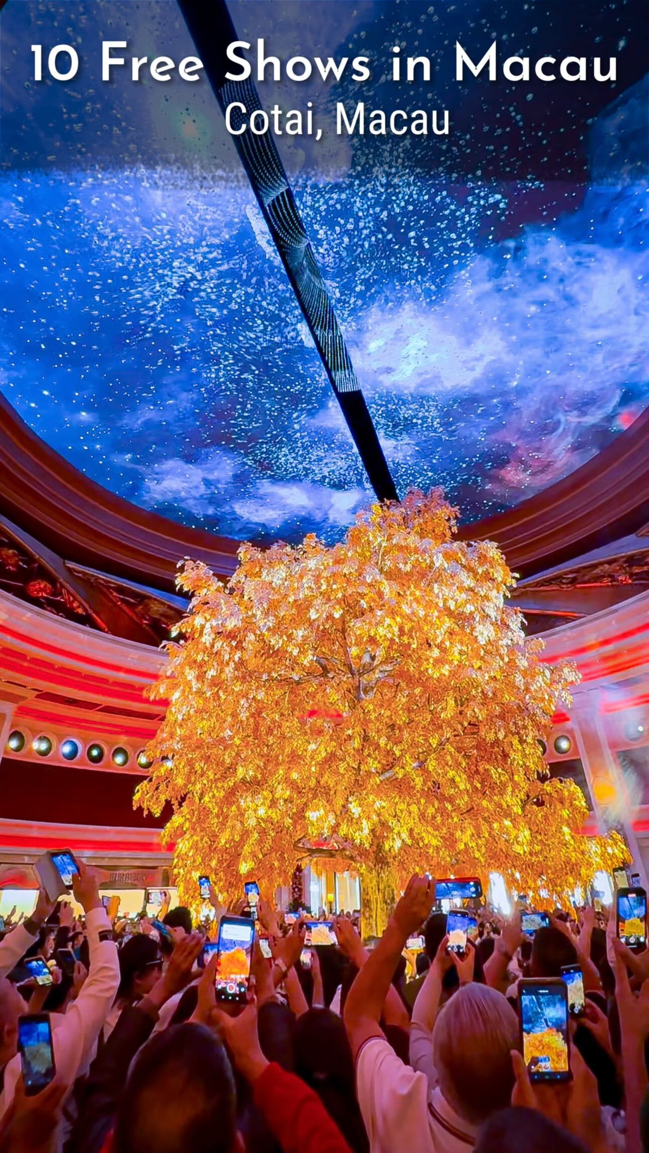 Macau's Free Entertainment Showcased in Integrated Resorts