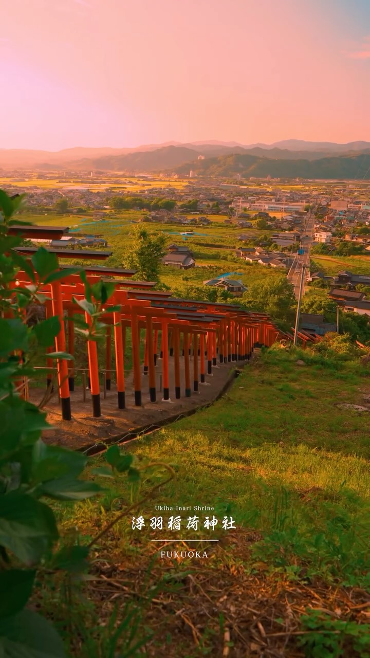 Seven Japanese Shrines Evoking Ghibli Magic