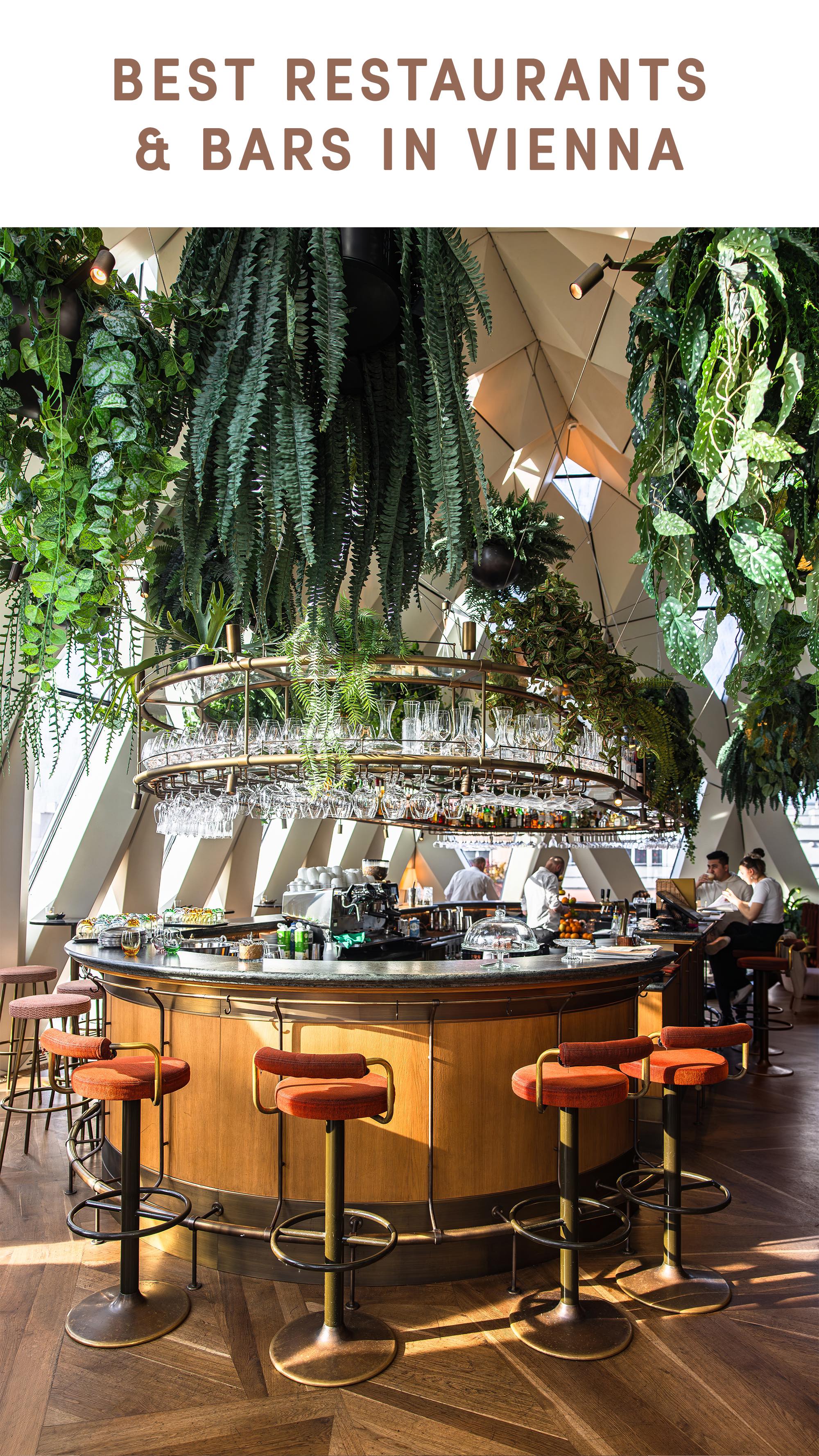 Vienna's Top Restaurants And Bars