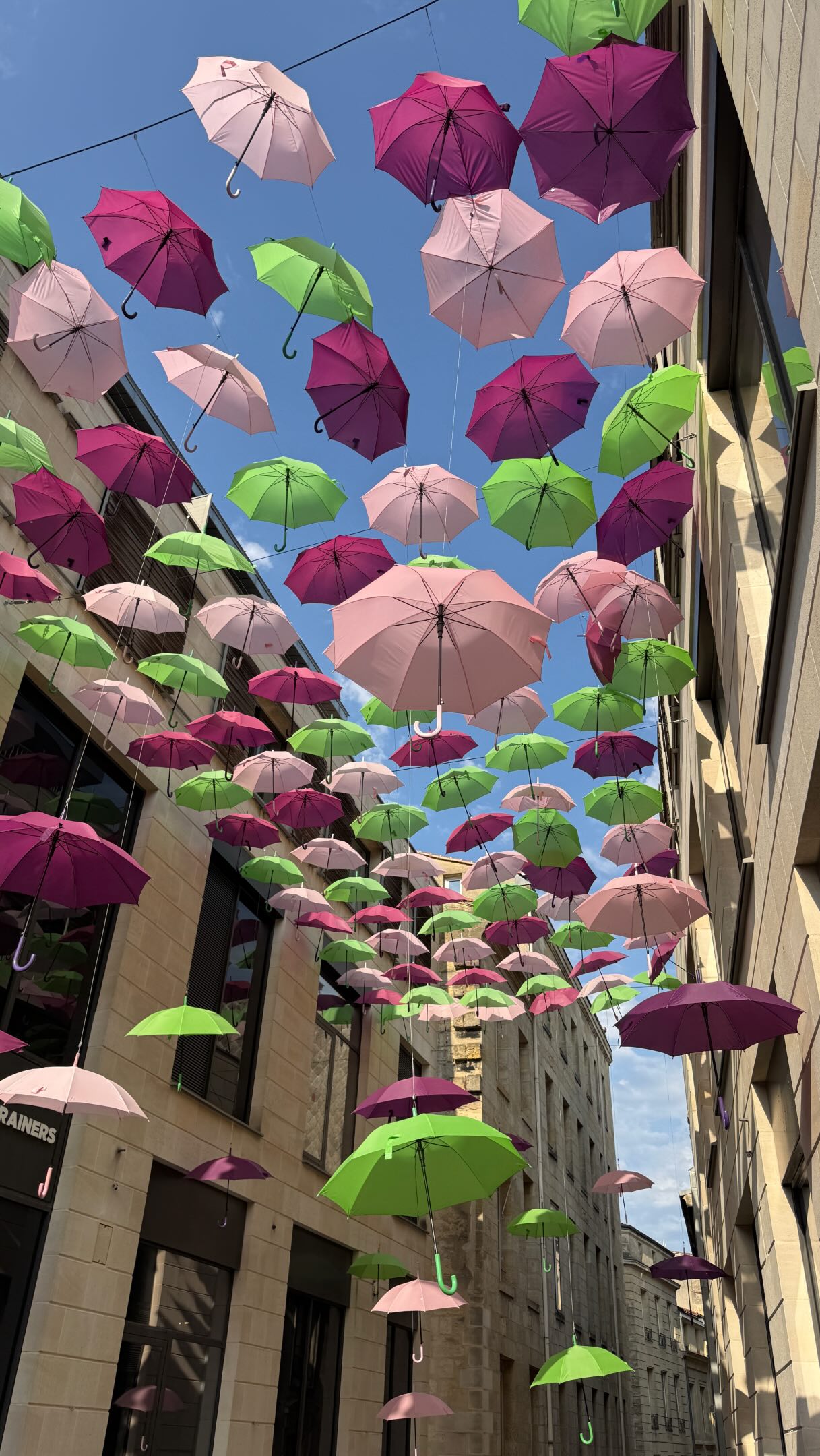 Bordeaux's Architectural Gems and Coastal Charm
