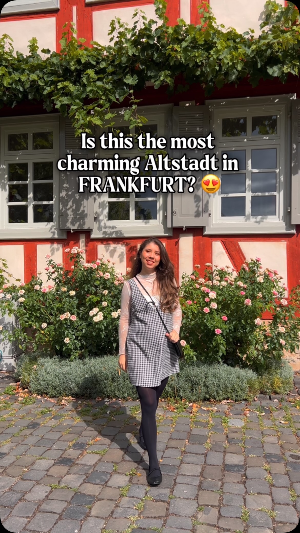 Historic Höchst Attractions and Nature Spots