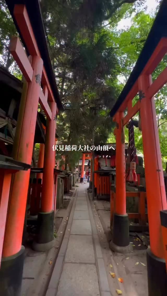 Fushimi Inari Taisha: A Kyoto Shrine's Mountain Journey