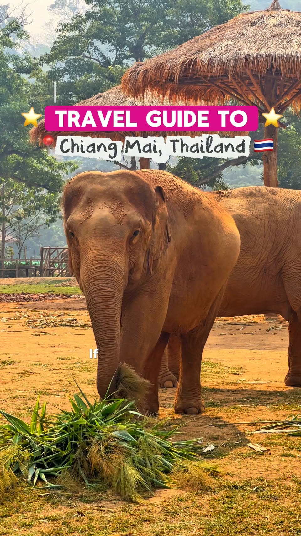 Chiang Mai Guide: Temples, Parks, and Markets